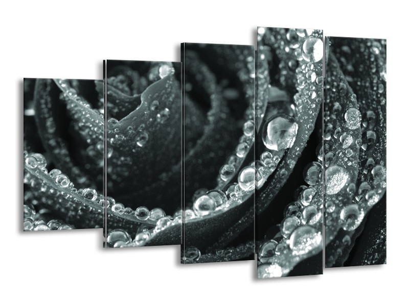 Canvas Schilderij Bloem, Roos | Grijs, Groen | 150x100cm 5Luik