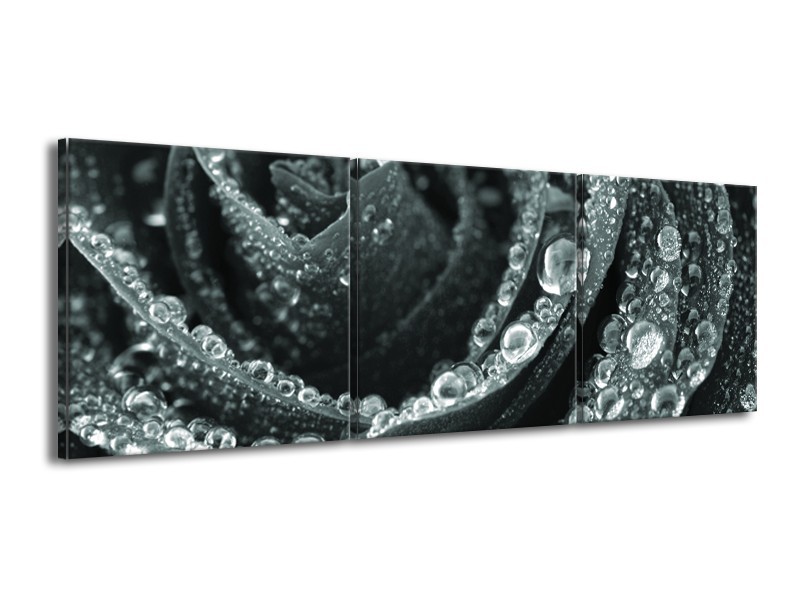 Canvas Schilderij Bloem, Roos | Grijs, Groen | 150x50cm 3Luik