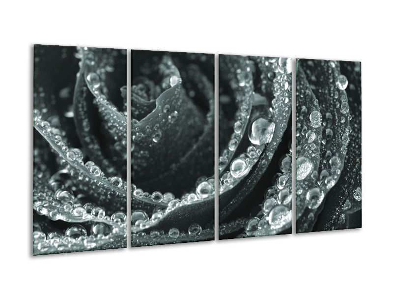 Canvas Schilderij Bloem, Roos | Grijs, Groen | 160x80cm 4Luik