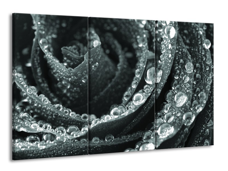 Canvas Schilderij Bloem, Roos | Grijs, Groen | 165x100cm 3Luik