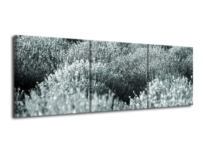 Glasschilderij Bloemen | Grijs, Groen | 120x40cm 3Luik