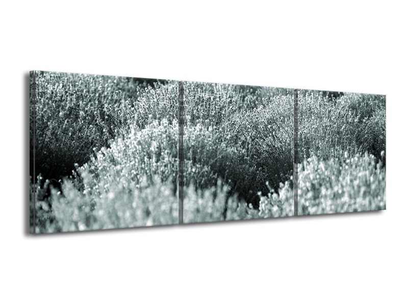 Glasschilderij Bloemen | Grijs, Groen | 150x50cm 3Luik