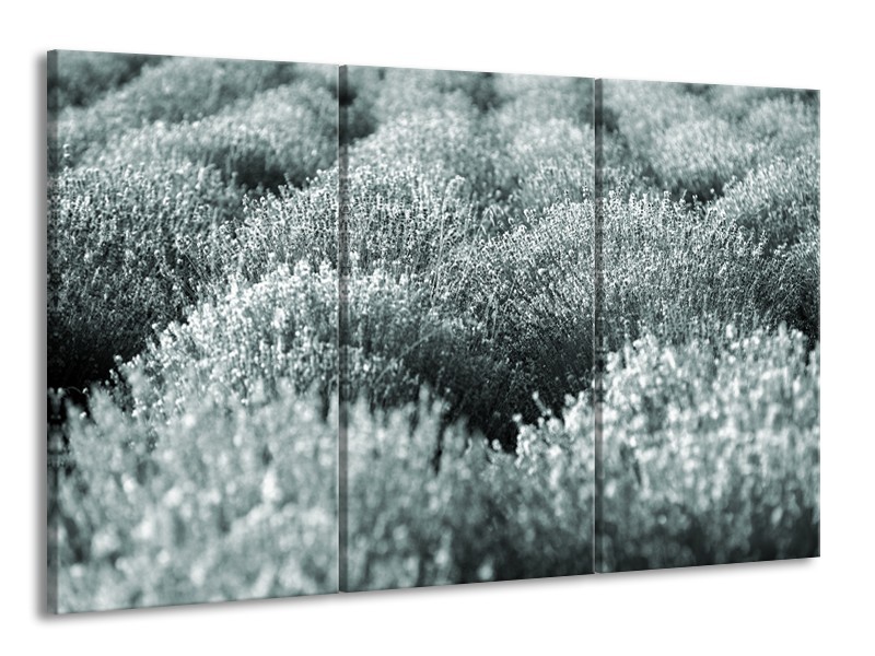Canvas Schilderij Bloemen | Grijs, Groen | 165x100cm 3Luik
