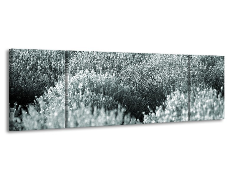 Glasschilderij Bloemen | Grijs, Groen | 170x50cm 3Luik