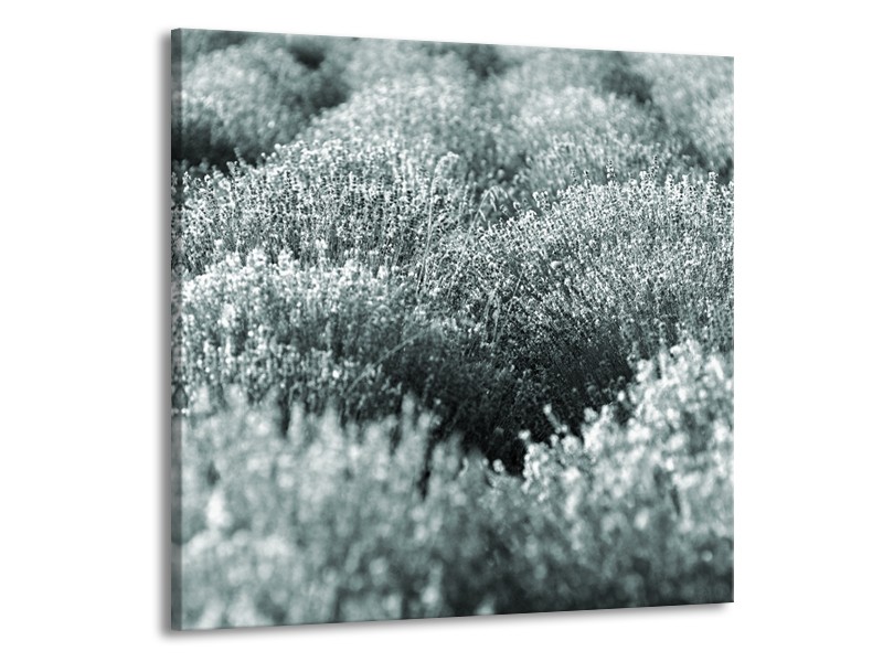 Canvas Schilderij Bloemen | Grijs, Groen | 50x50cm 1Luik
