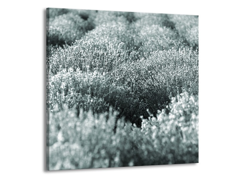 Canvas Schilderij Bloemen | Grijs, Groen | 70x70cm 1Luik
