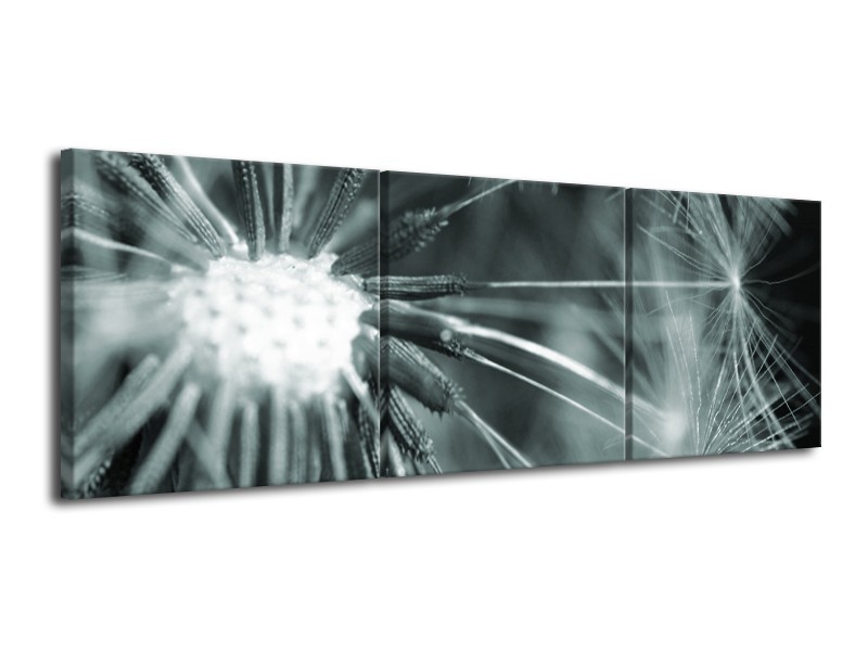 Glasschilderij Bloem | Grijs, Groen | 120x40cm 3Luik