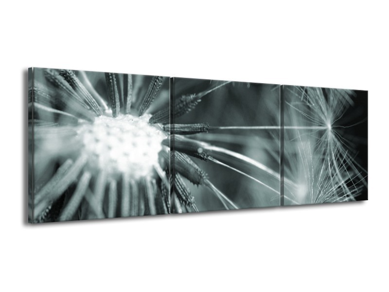 Glasschilderij Bloem | Grijs, Groen | 150x50cm 3Luik