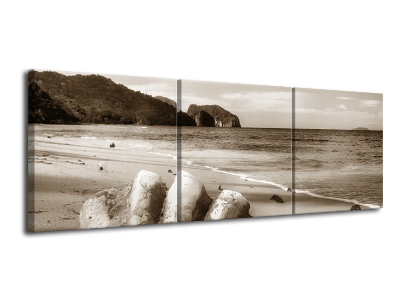 Canvas Schilderij Schelp, Strand | Sepia | 120x40cm 3Luik