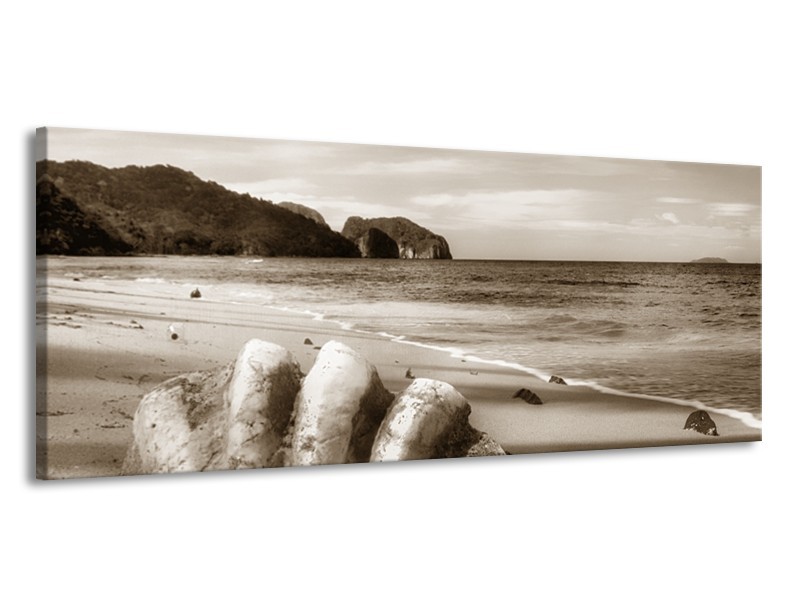 Glasschilderij Schelp, Strand | Sepia | 145x58cm 1Luik