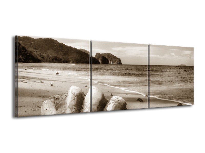 Glasschilderij Schelp, Strand | Sepia | 150x50cm 3Luik