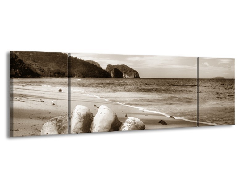 Canvas Schilderij Schelp, Strand | Sepia | 170x50cm 3Luik