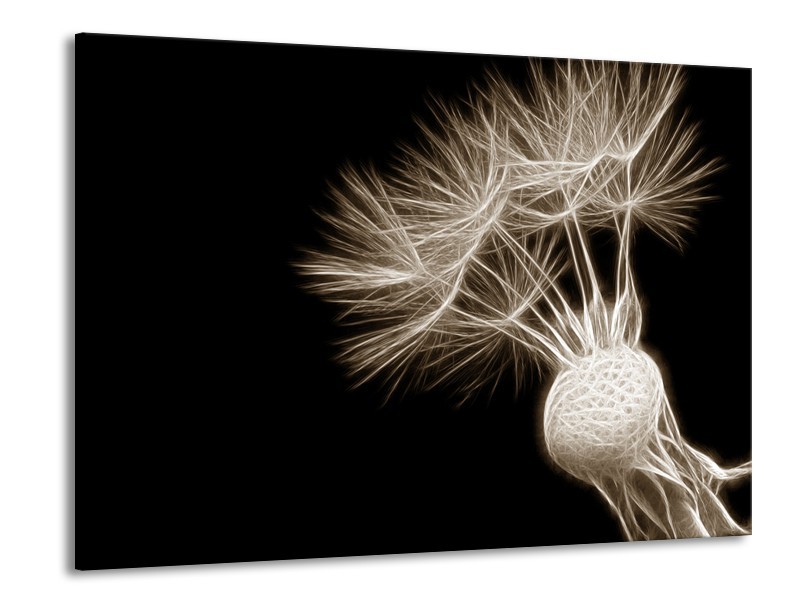 Canvas Schilderij Bloem | Sepia, Zwart | 100x70cm 1Luik