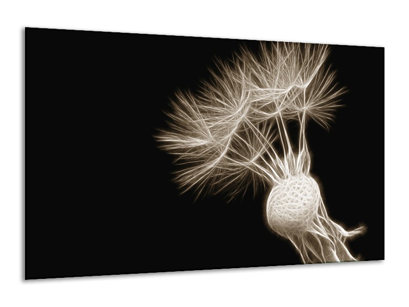 Glasschilderij Bloem | Sepia, Zwart | 120x70cm 1Luik