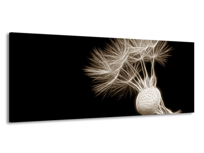 Glasschilderij Bloem | Sepia, Zwart | 145x58cm 1Luik