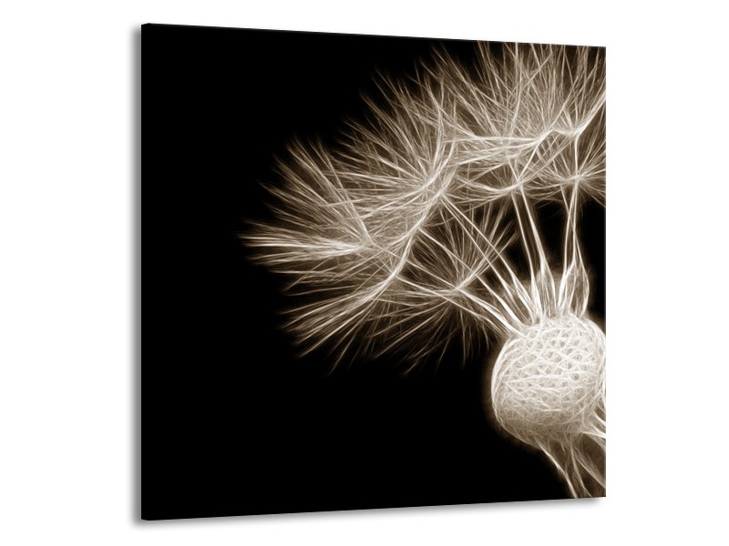 Glasschilderij Bloem | Sepia, Zwart | 50x50cm 1Luik