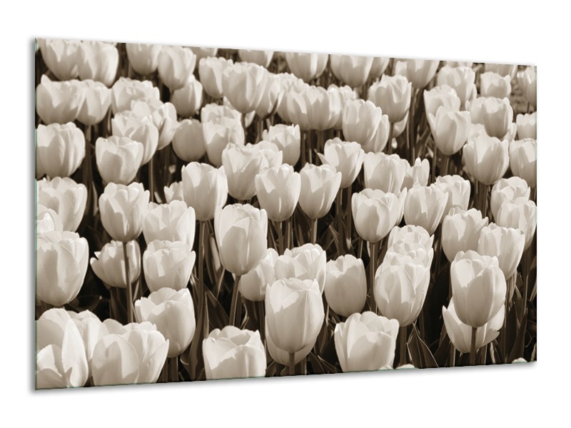 Canvas Schilderij Bloem, Tulpen | Sepia | 120x70cm 1Luik