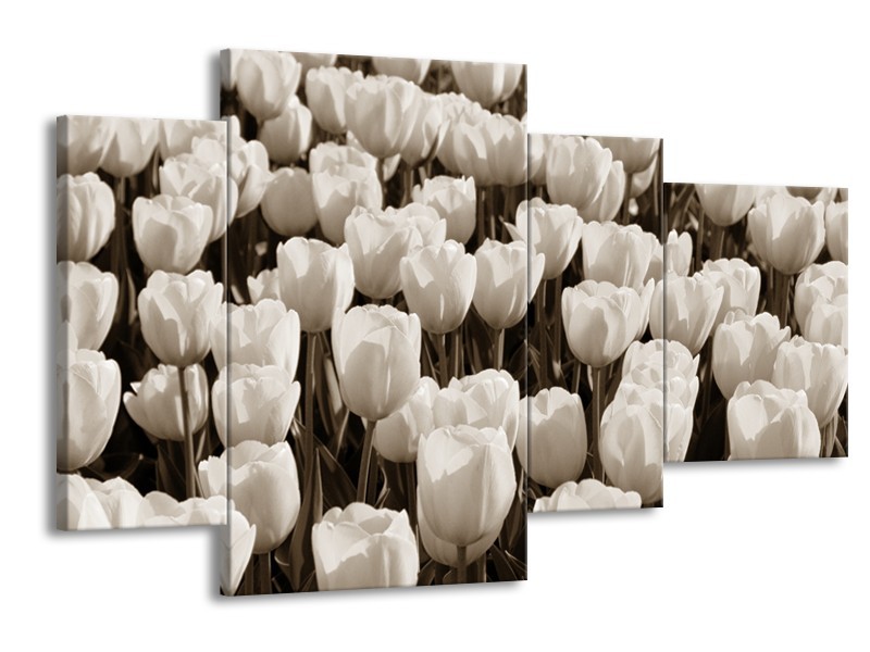 Glasschilderij Bloem, Tulpen | Sepia | 120x75cm 4Luik