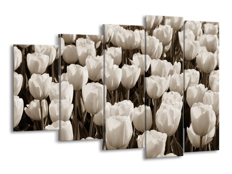 Canvas Schilderij Bloem, Tulpen | Sepia | 150x100cm 5Luik