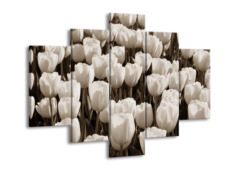 Glasschilderij Bloem, Tulpen | Sepia | 150x105cm 5Luik