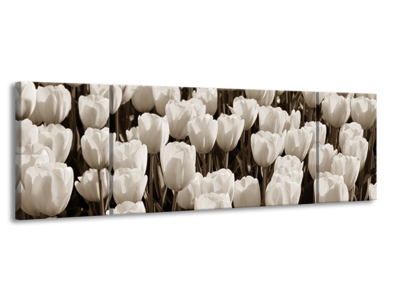 Glasschilderij Bloem, Tulpen | Sepia | 170x50cm 3Luik