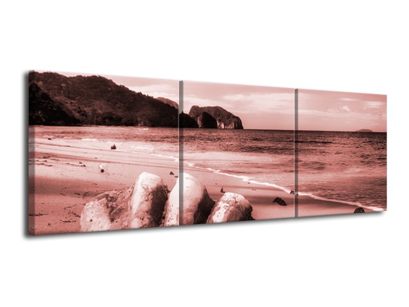 Glasschilderij Schelp, Strand | Bruin, Rood | 120x40cm 3Luik