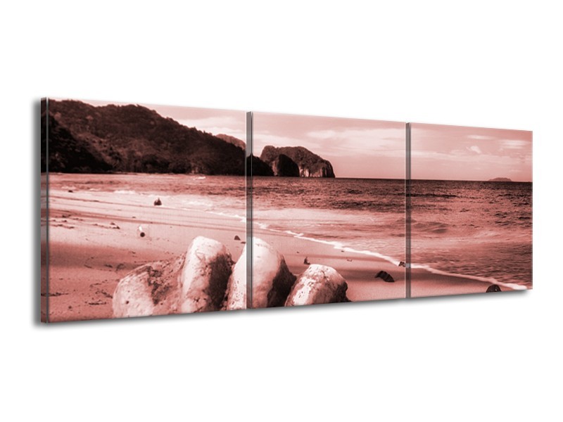 Glasschilderij Schelp, Strand | Bruin, Rood | 150x50cm 3Luik