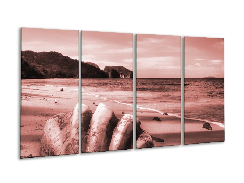 Glasschilderij Schelp, Strand | Bruin, Rood | 160x80cm 4Luik