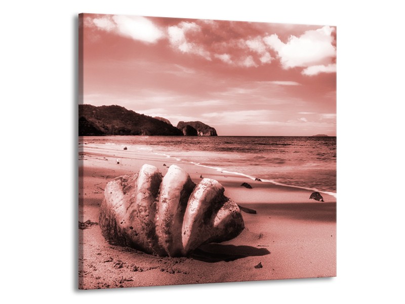 Glasschilderij Schelp, Strand | Bruin, Rood | 50x50cm 1Luik