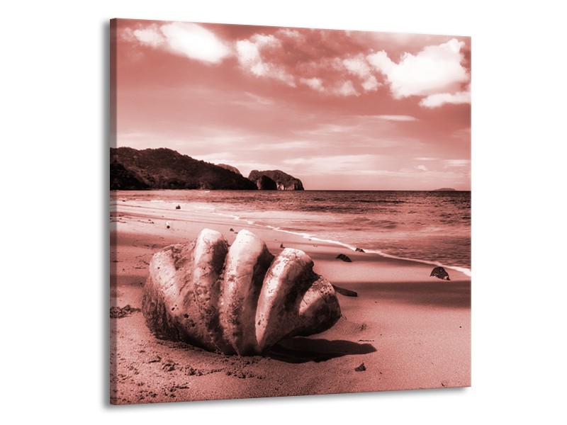 Glasschilderij Schelp, Strand | Bruin, Rood | 70x70cm 1Luik