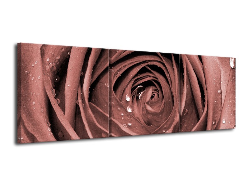 Canvas Schilderij Bloem, Roos | Bruin, Rood | 120x40cm 3Luik