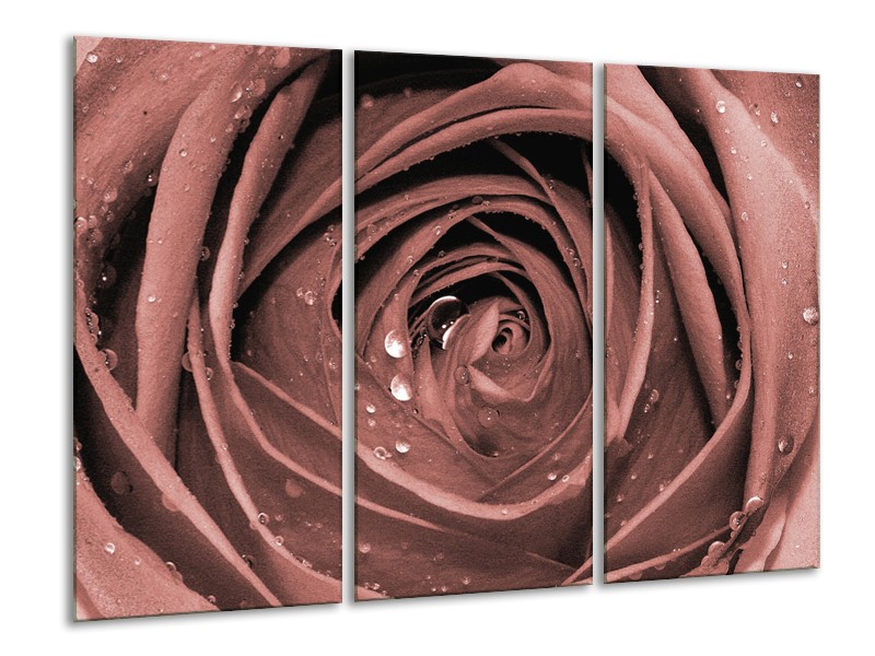 Canvas Schilderij Bloem, Roos | Bruin, Rood | 120x80cm 3Luik