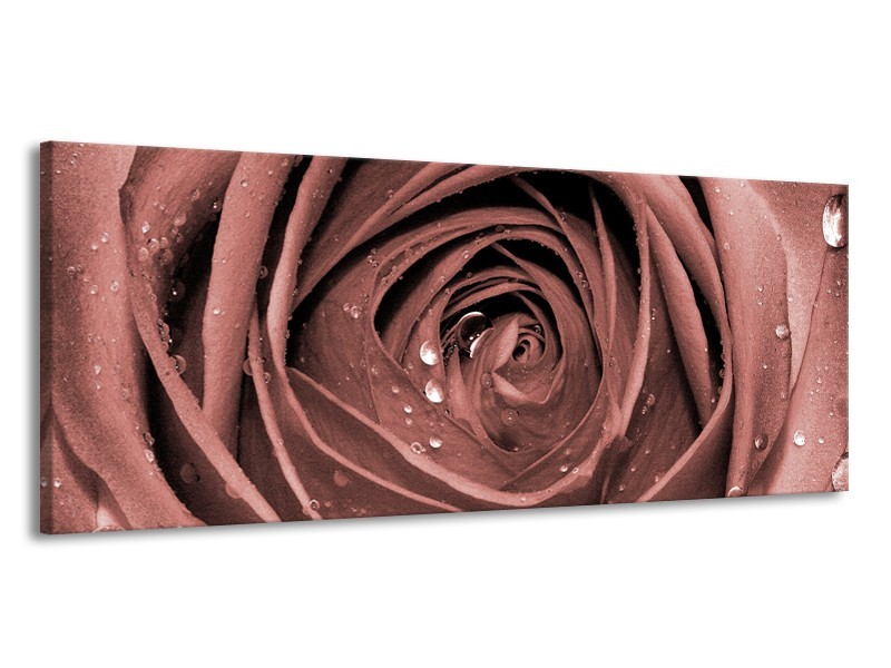 Canvas Schilderij Bloem, Roos | Bruin, Rood | 145x58cm 1Luik