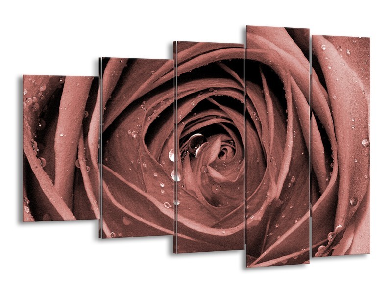 Canvas Schilderij Bloem, Roos | Bruin, Rood | 150x100cm 5Luik