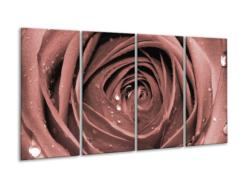 Canvas Schilderij Bloem, Roos | Bruin, Rood | 160x80cm 4Luik