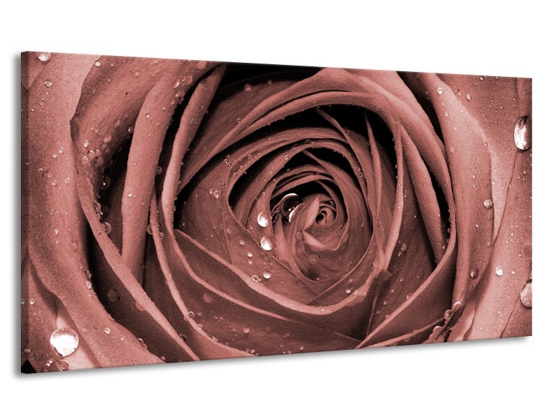 Canvas Schilderij Bloem, Roos | Bruin, Rood | 170x90cm 1Luik