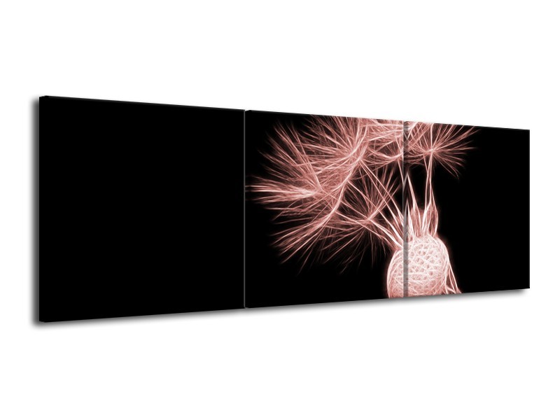 Glasschilderij Bloem | Bruin, Rood, Zwart | 120x40cm 3Luik