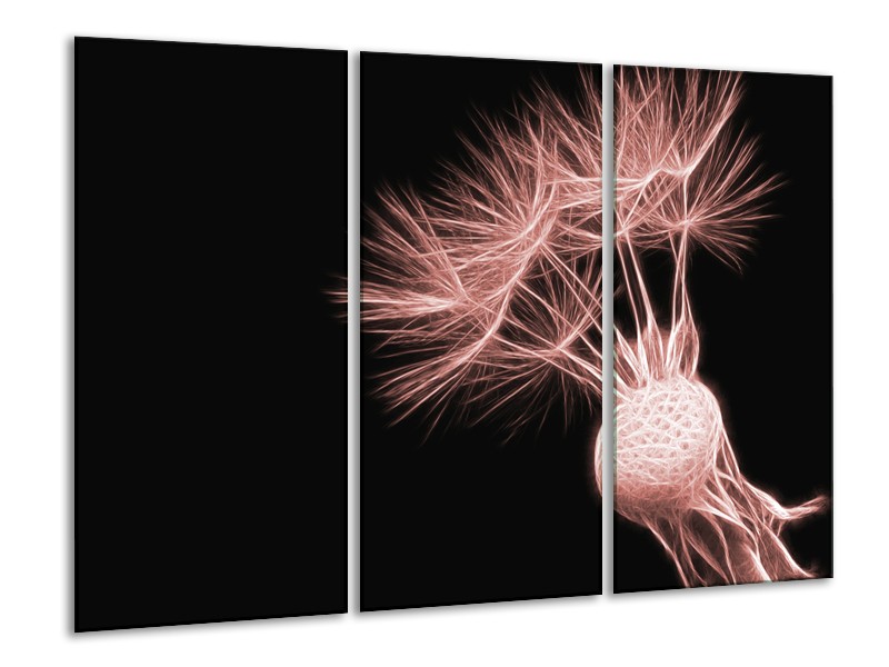 Glasschilderij Bloem | Bruin, Rood, Zwart | 120x80cm 3Luik