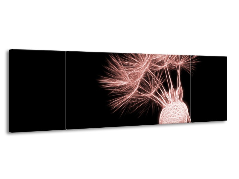 Glasschilderij Bloem | Bruin, Rood, Zwart | 170x50cm 3Luik