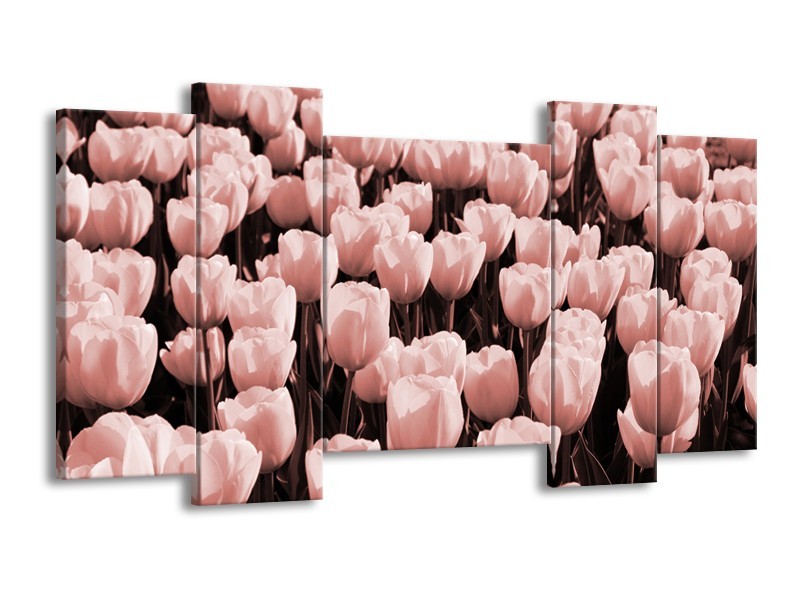 Glasschilderij Bloem, Tulpen | Bruin, Rood | 120x65cm 5Luik