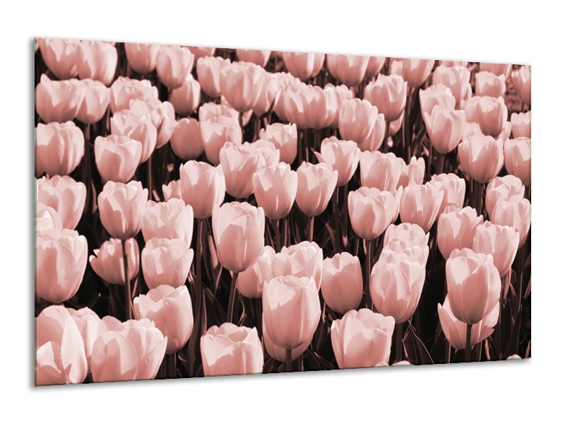 Canvas Schilderij Bloem, Tulpen | Bruin, Rood | 120x70cm 1Luik