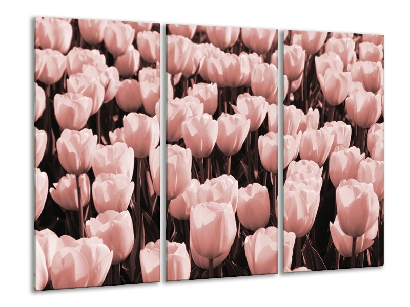 Canvas Schilderij Bloem, Tulpen | Bruin, Rood | 120x80cm 3Luik