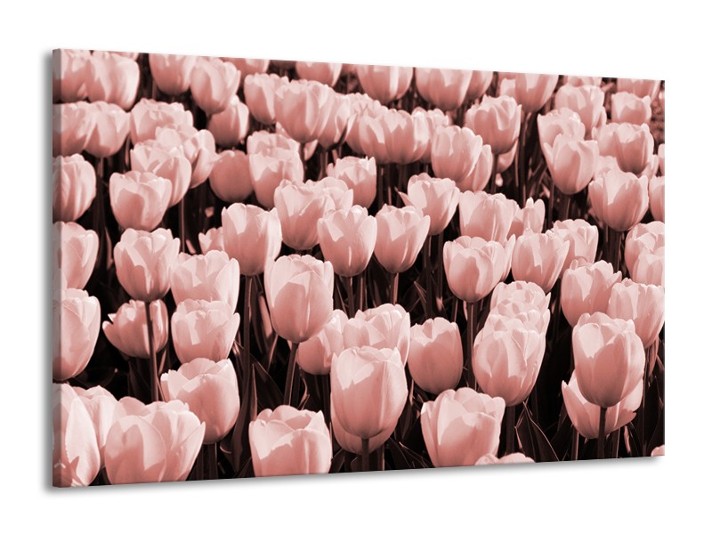 Canvas Schilderij Bloem, Tulpen | Bruin, Rood | 140x90cm 1Luik