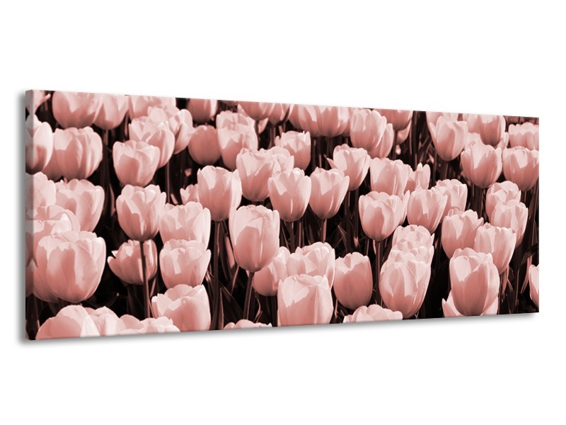 Canvas Schilderij Bloem, Tulpen | Bruin, Rood | 145x58cm 1Luik