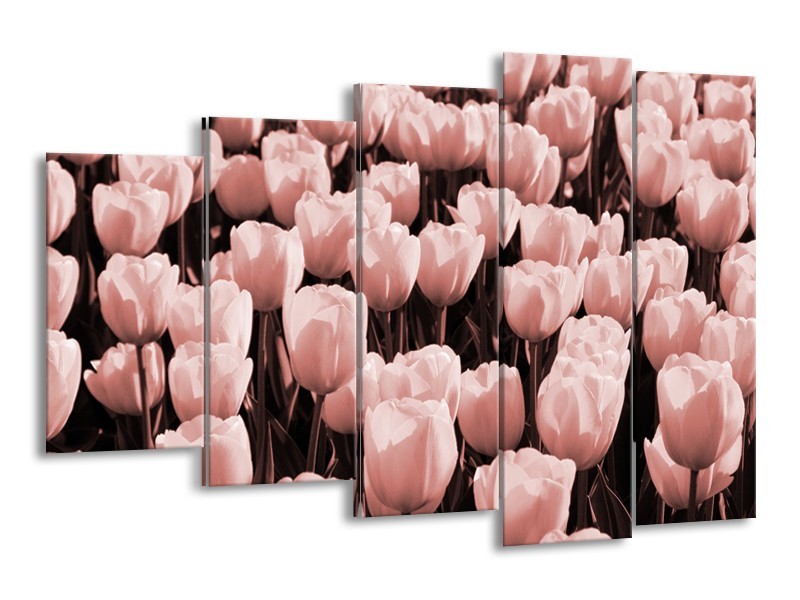 Glasschilderij Bloem, Tulpen | Bruin, Rood | 150x100cm 5Luik