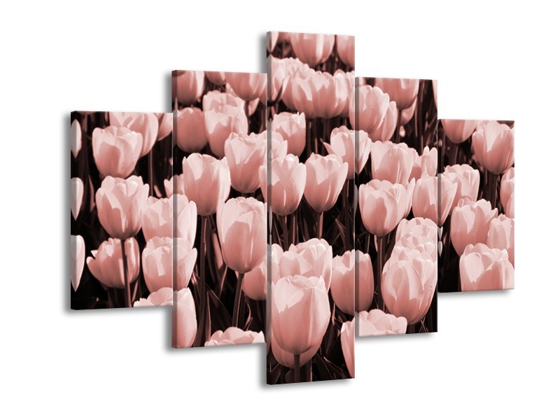 Canvas Schilderij Bloem, Tulpen | Bruin, Rood | 150x105cm 5Luik