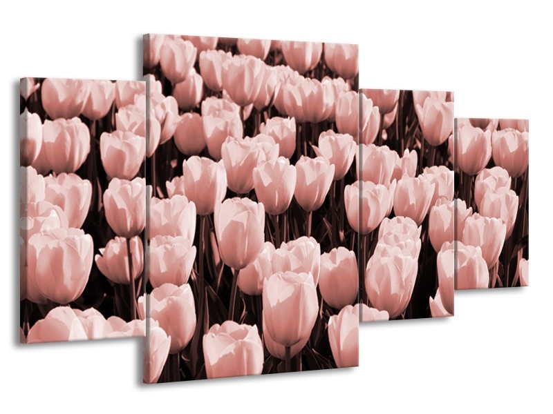 Glasschilderij Bloem, Tulpen | Bruin, Rood | 160x90cm 4Luik