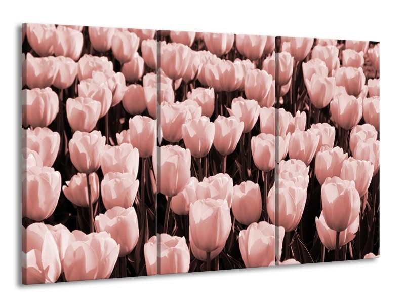 Canvas Schilderij Bloem, Tulpen | Bruin, Rood | 165x100cm 3Luik