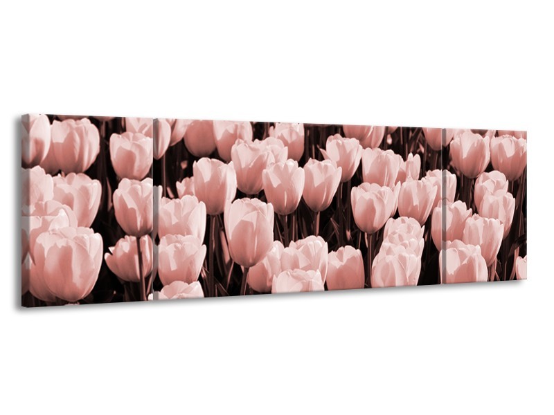 Glasschilderij Bloem, Tulpen | Bruin, Rood | 170x50cm 3Luik