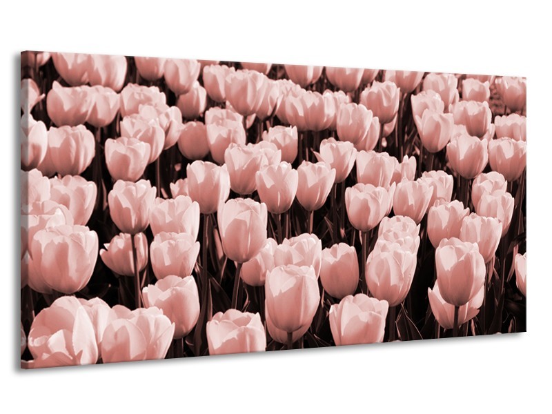 Canvas Schilderij Bloem, Tulpen | Bruin, Rood | 170x90cm 1Luik